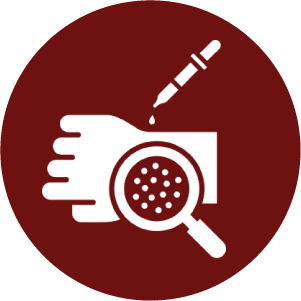 1744781477_Dermatology.png